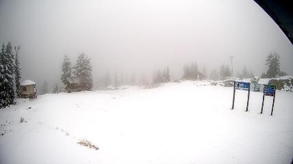 Mount Seymour: Mystery Peak (mtseymour.ca)