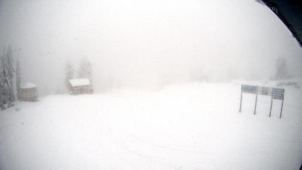 Mount Seymour webcam