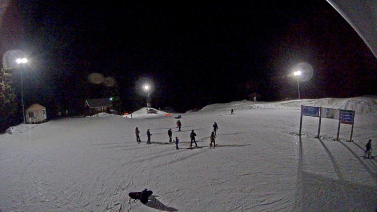 Webcam Mount Seymour: Mystery Peak