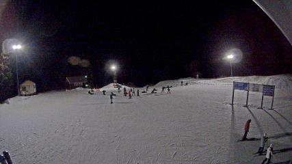 Mount Seymour: Mystery Peak (mtseymour.ca)
