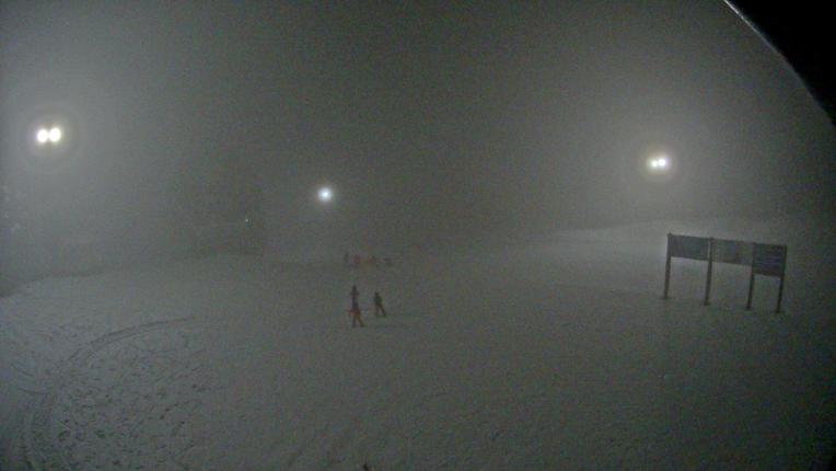 Webcam Mount Seymour: Mystery Peak