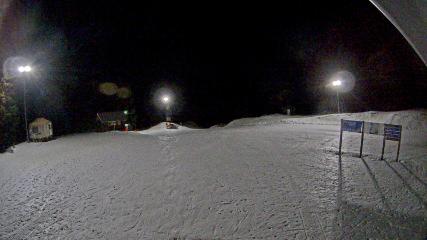 Mount Seymour: Mystery Peak (mtseymour.ca)