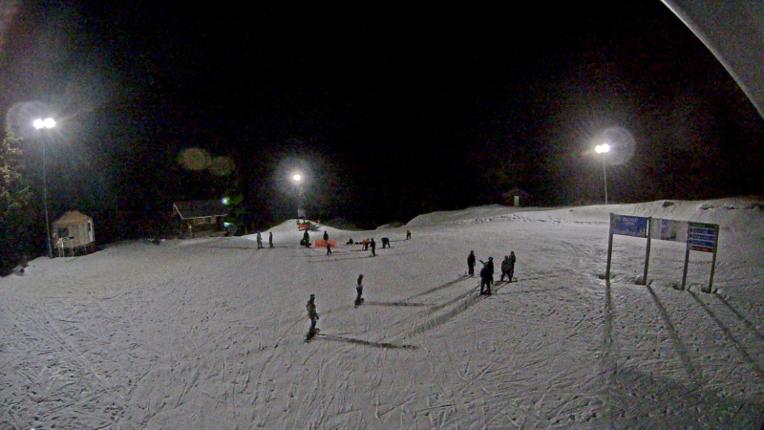 Webcam Mount Seymour: Mystery Peak