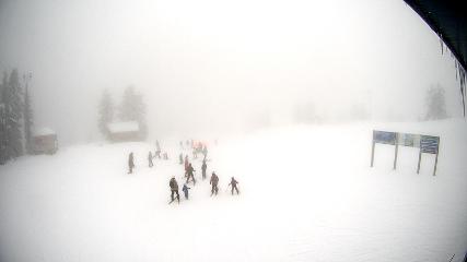 Mount Seymour: Mystery Peak (mtseymour.ca)
