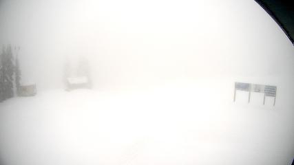 Mount Seymour: Mystery Peak (mtseymour.ca)