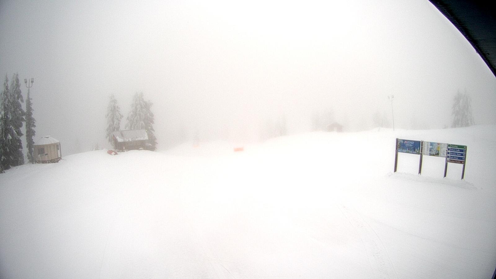 Webcam Mount Seymour: Mystery Peak