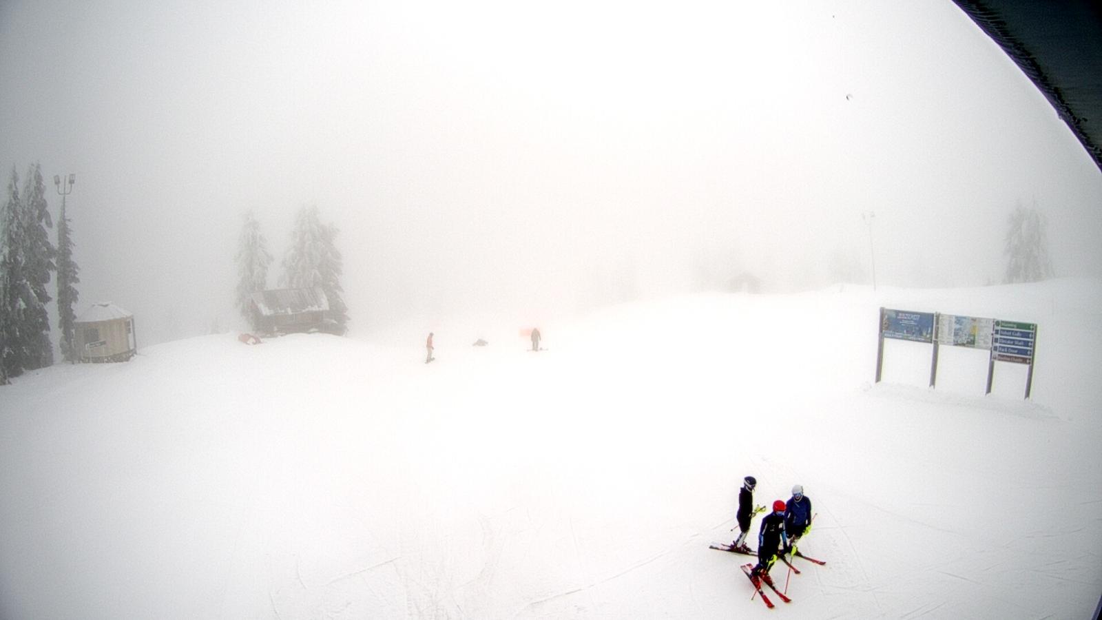 Webcam Mount Seymour: Mystery Peak