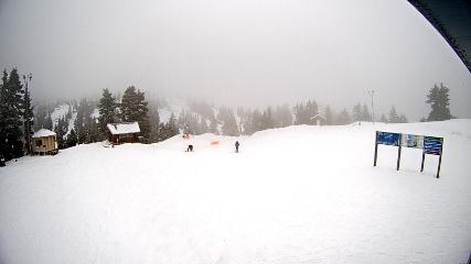 Mount Seymour: Mystery Peak (mtseymour.ca)