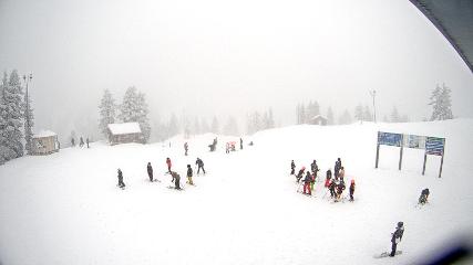 Mount Seymour webcam