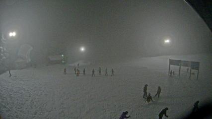 Mount Seymour webcam