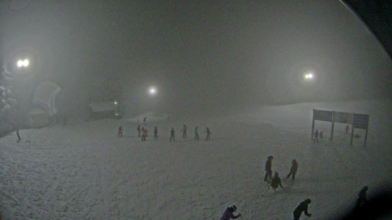 Webcam Mount Seymour: Mystery Peak