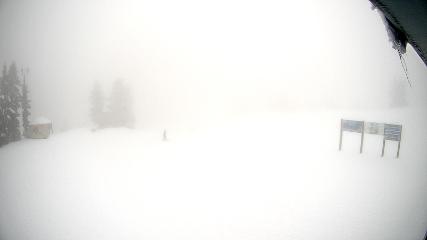 Mount Seymour: Mystery Peak (mtseymour.ca)