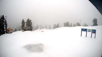 Mount Seymour: Mystery Peak (mtseymour.ca)
