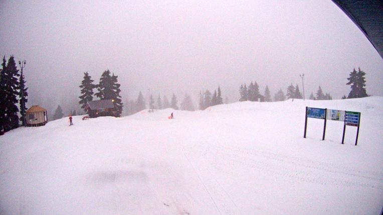 Webcam Mount Seymour: Mystery Peak