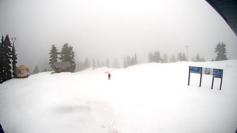 Webcam Mount Seymour: Mystery Peak