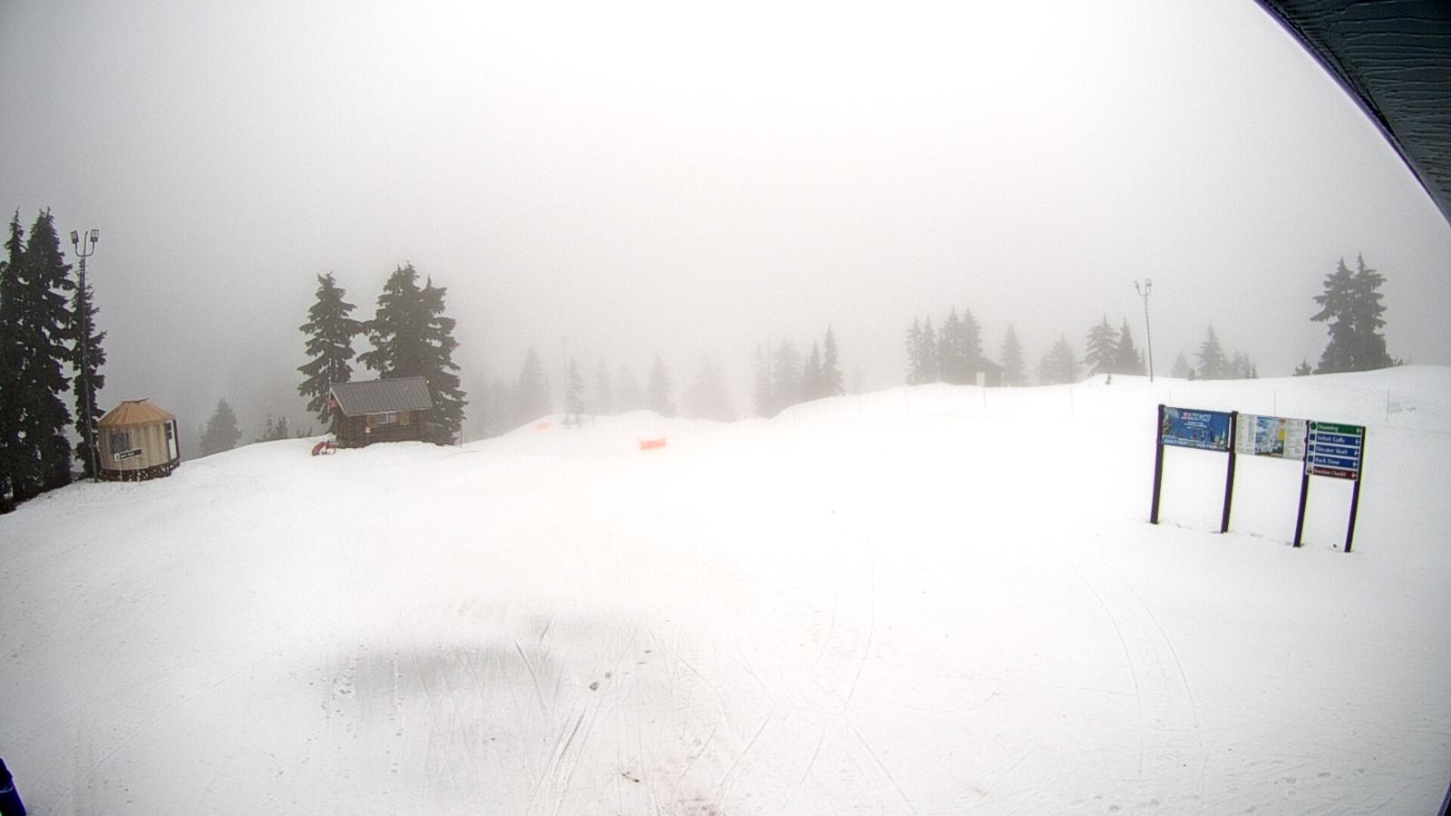 Webcam Mount Seymour: Mystery Peak