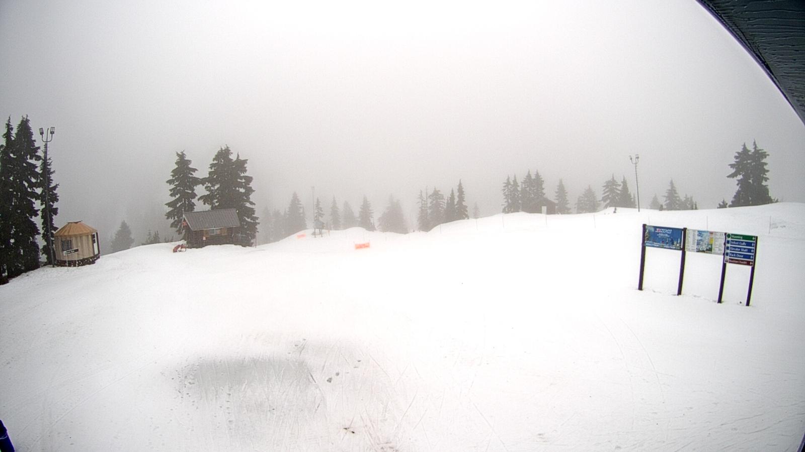 Webcam Mount Seymour: Mystery Peak