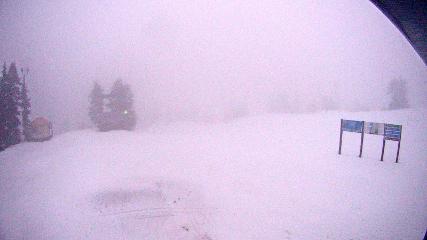 Mount Seymour: Mystery Peak (mtseymour.ca)