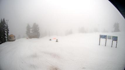 Mount Seymour: Mystery Peak (mtseymour.ca)
