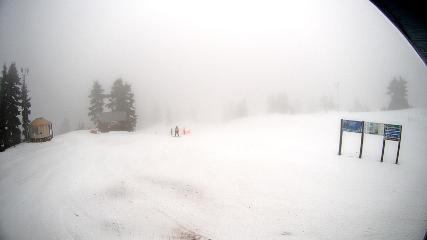 Mount Seymour: Mystery Peak (mtseymour.ca)