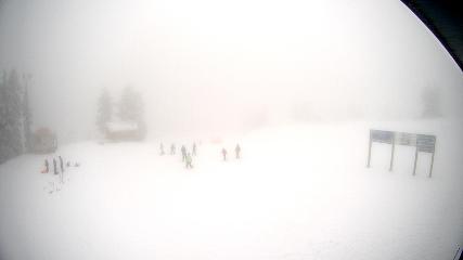 Mount Seymour: Mystery Peak (mtseymour.ca)