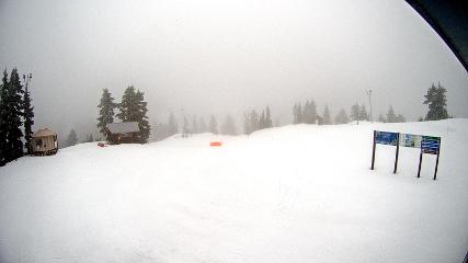 Mount Seymour webcam