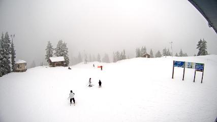 Mount Seymour: Mystery Peak (mtseymour.ca)