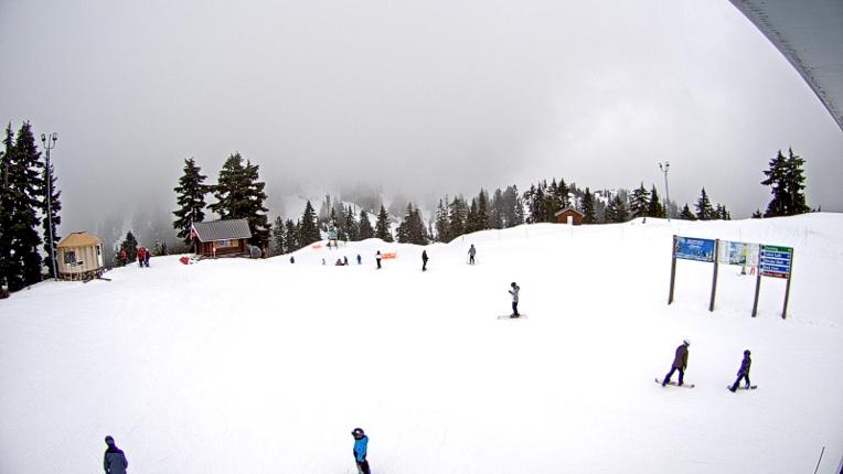 Webcam Mount Seymour: Mystery Peak