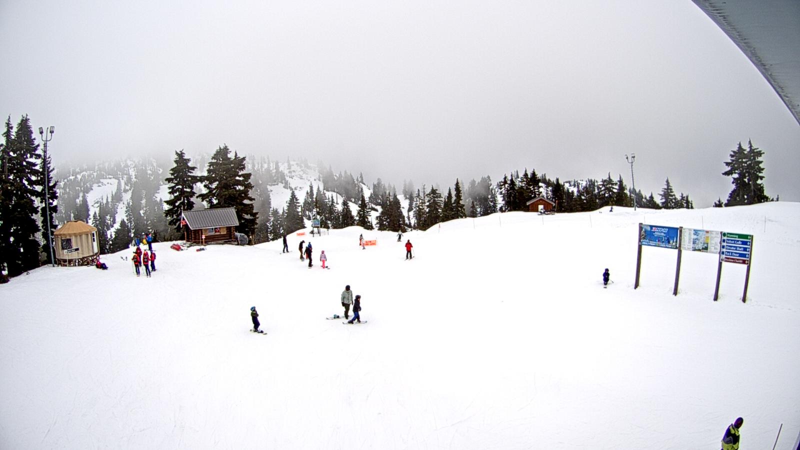 Webcam Mount Seymour: Mystery Peak