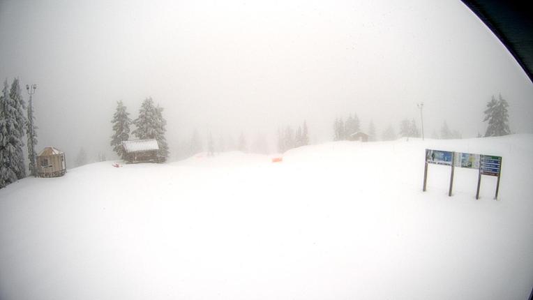 Webcam Mount Seymour: Mystery Peak