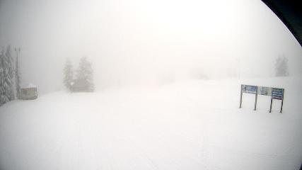 Mount Seymour: Mystery Peak (mtseymour.ca)