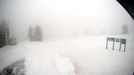 Mount Seymour: Mystery Peak (mtseymour.ca)