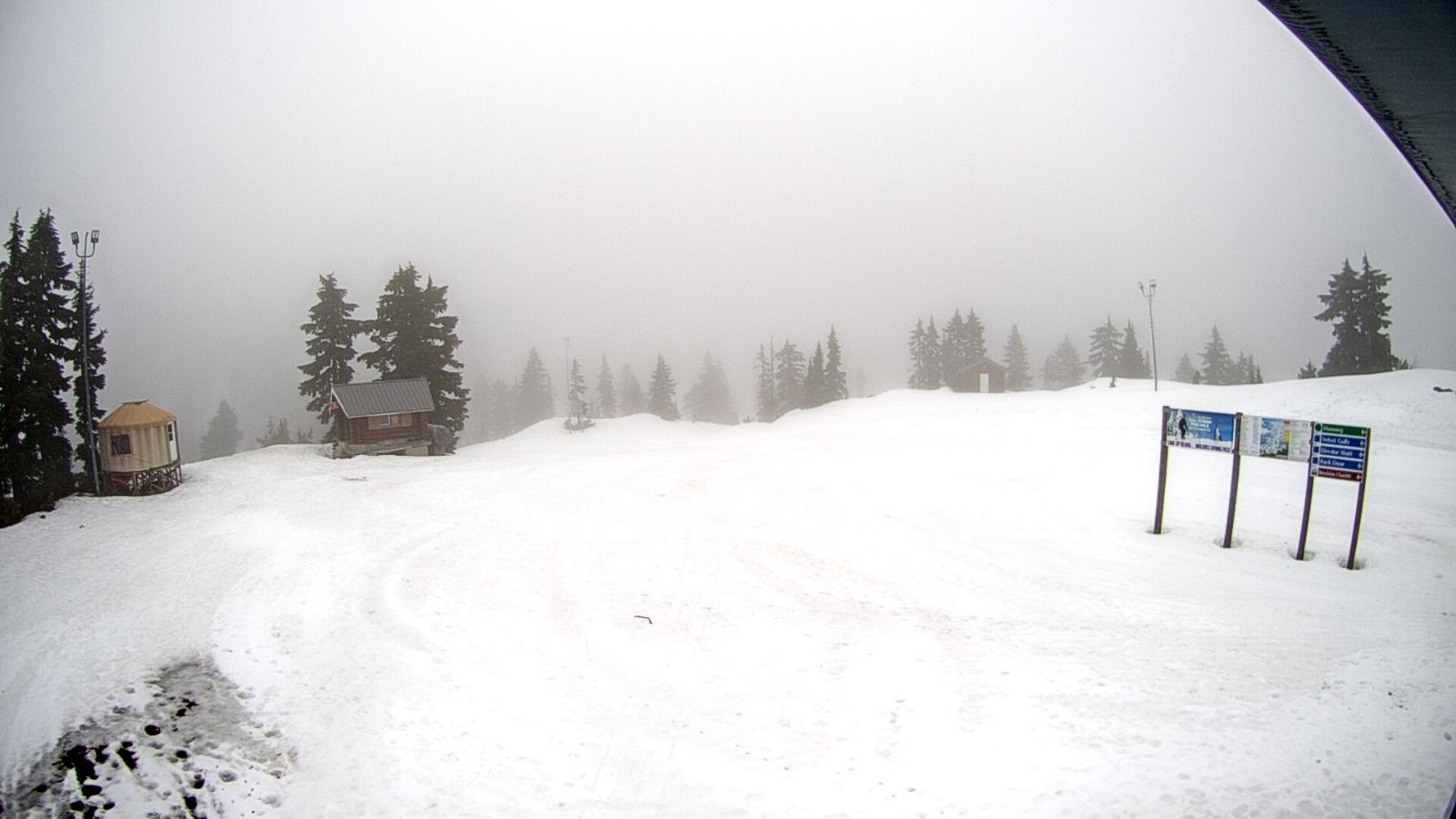 Webcam Mount Seymour: Mystery Peak