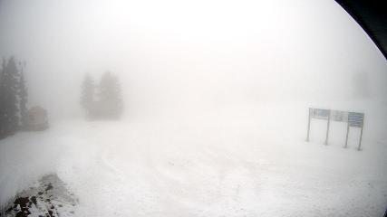 Mount Seymour: Mystery Peak (mtseymour.ca)