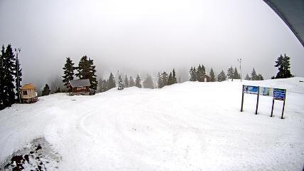 Mount Seymour: Mystery Peak (mtseymour.ca)