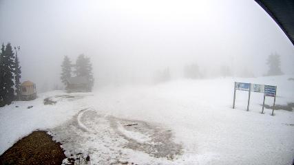 Mount Seymour: Mystery Peak (mtseymour.ca)