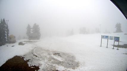 Mount Seymour: Mystery Peak (mtseymour.ca)