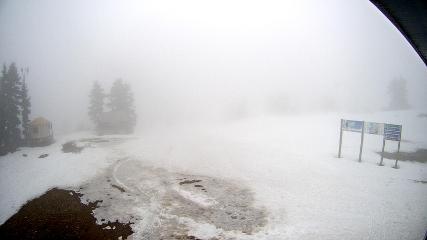 Mount Seymour: Mystery Peak (mtseymour.ca)