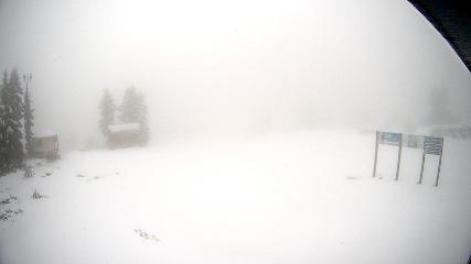 Mount Seymour webcam
