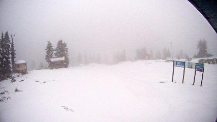 Mount Seymour: Mystery Peak (mtseymour.ca)