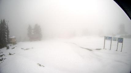 Mount Seymour: Mystery Peak (mtseymour.ca)