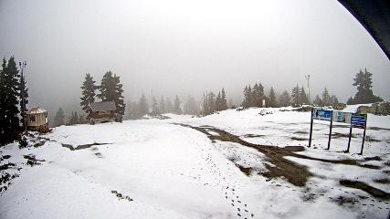 Mount Seymour: Mystery Peak (mtseymour.ca)