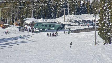 Mount Washington: Alpine Cam (mountwashington.ca)