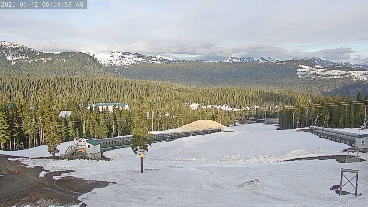 Webcam Mount Washington: Alpine Cam