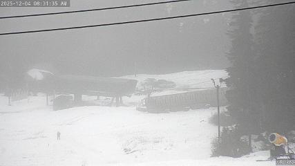 Mount Washington: Alpine Cam (mountwashington.ca)