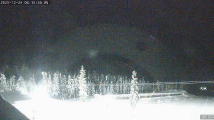 Mount Washington: Alpine Cam (mountwashington.ca)