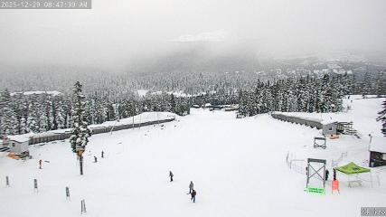 Mount Washington: Alpine Cam (mountwashington.ca)
