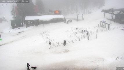 Mount Washington: Alpine Cam (mountwashington.ca)