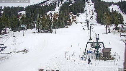 Mount Washington: Alpine Cam (mountwashington.ca)