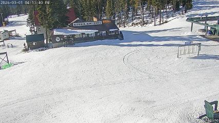 Mount Washington: Alpine Cam (mountwashington.ca)